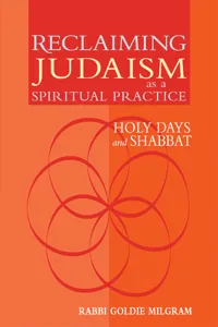 Reclaiming Judaism as a Spiritual Practice_cover