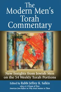 The Modern Men's Torah Commentary_cover