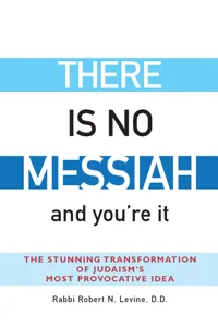 There Is No Messiah—and You're It_cover