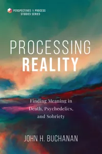 Processing Reality_cover