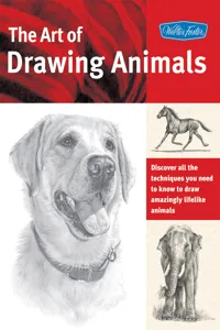 The Art of Drawing Animals_cover