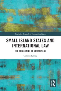 Small Island States & International Law_cover