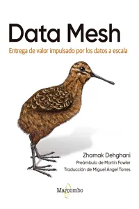 Data Mesh_cover