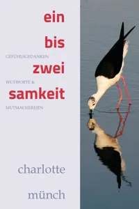 ein- bis zweisamkeit_cover