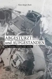 Abgestürzt und aufgestanden_cover