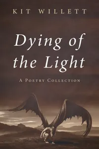 Dying of the Light_cover