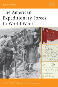 The American Expeditionary Forces in World War I_cover