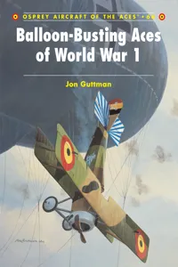 Balloon-Busting Aces of World War 1_cover