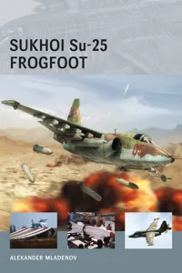 Sukhoi Su-25 Frogfoot_cover