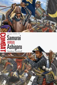 Samurai vs Ashigaru_cover