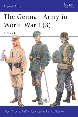 The German Army in World War I (3)