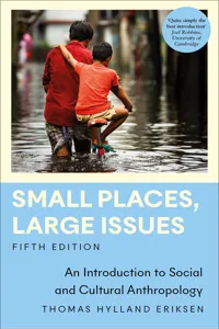 Small Places, Large Issues_cover
