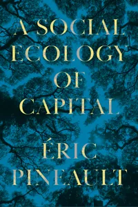 A Social Ecology of Capital_cover