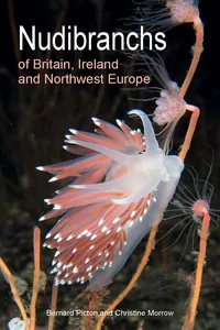 Nudibranchs of Britain, Ireland and Northwest Europe_cover