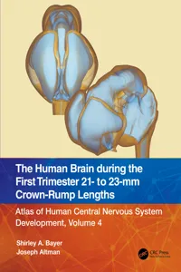 The Human Brain during the First Trimester 21- to 23-mm Crown-Rump Lengths_cover