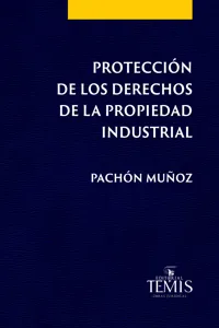 Protección de los derechos de la propiedad industrial_cover