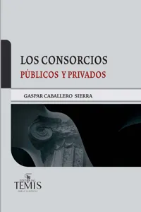 Los consorcios públicos y privados_cover