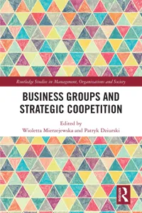 Business Groups and Strategic Coopetition_cover