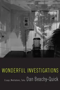 Wonderful Investigations_cover