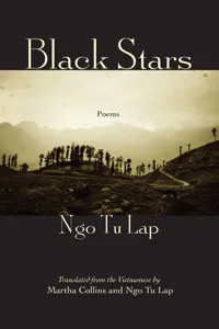 Black Stars_cover