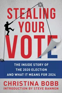 Stealing Your Vote_cover