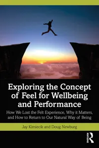 Exploring the Concept of Feel for Wellbeing and Performance_cover