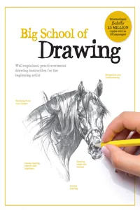 Big School of Drawing_cover