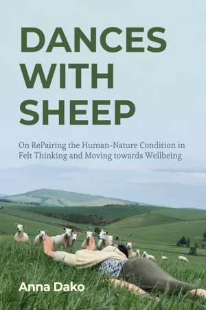 Dances with Sheep