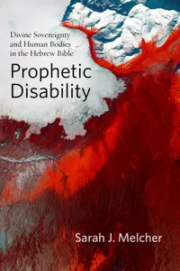 Prophetic Disability_cover