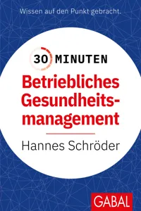 30 Minuten Betriebliches Gesundheitsmanagement_cover