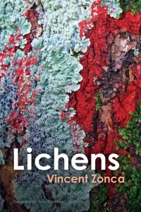 Lichens_cover