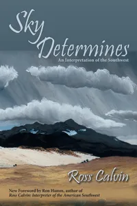 Sky Determines_cover