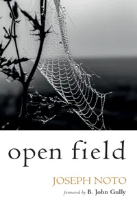 Open Field_cover