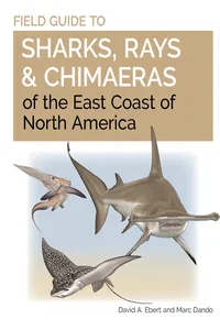 Field Guide to Sharks, Rays and Chimaeras of the East Coast of North America_cover