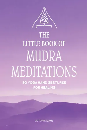 The Little Book of Mudra Meditations