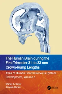 The Human Brain during the First Trimester 31- to 33-mm Crown-Rump Lengths_cover