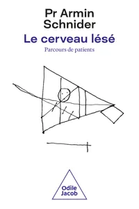 Le Cerveau lésé_cover