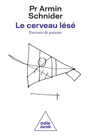 Le Cerveau lésé