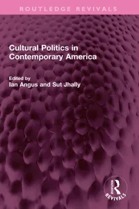 Cultural Politics in Contemporary America_cover