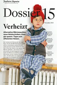 Verheizt_cover