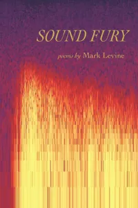 Sound Fury_cover