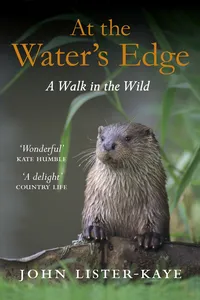 At the Water's Edge_cover