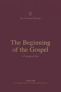 The Beginning of the Gospel_cover