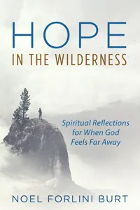 Hope in the Wilderness_cover