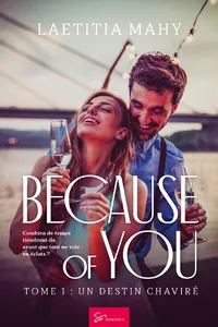 Because of you - Un destin chaviré_cover
