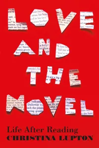 Love and the Novel_cover