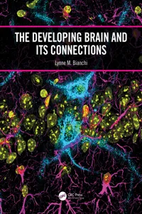 The Developing Brain and its Connections_cover