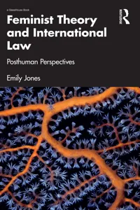 Feminist Theory and International Law_cover