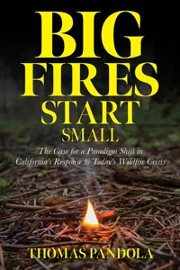 Big Fires Start Small_cover