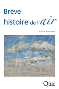 Brève histoire de l'air_cover